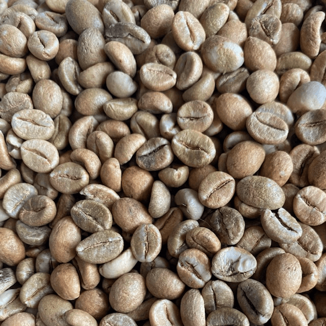 India Cherry Robusta Coffee Bean Corral